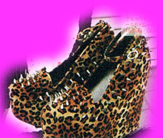 Leopard shoes