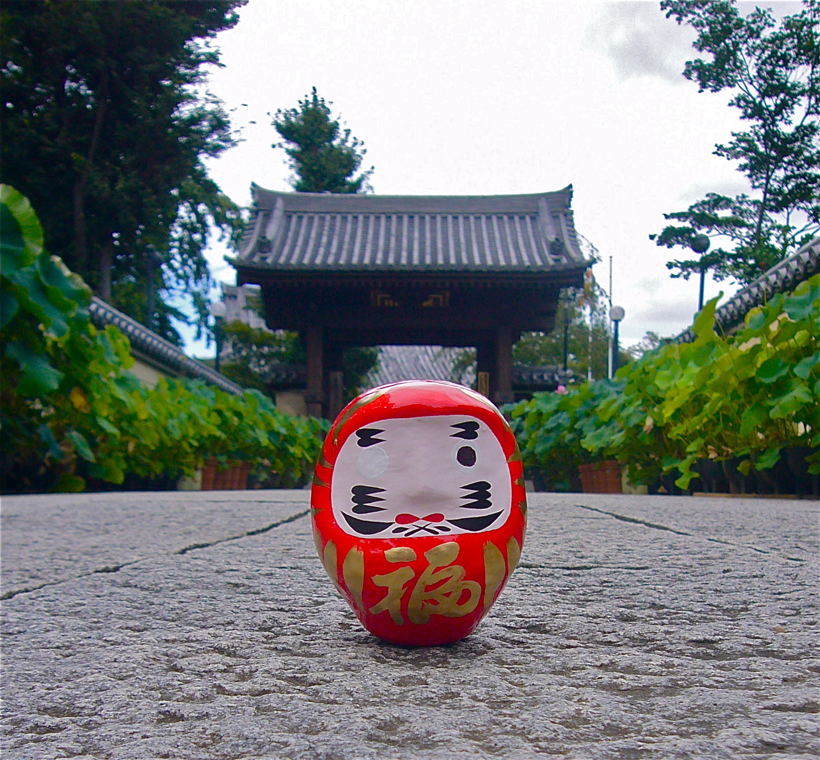Daruma figure in front of temple gate