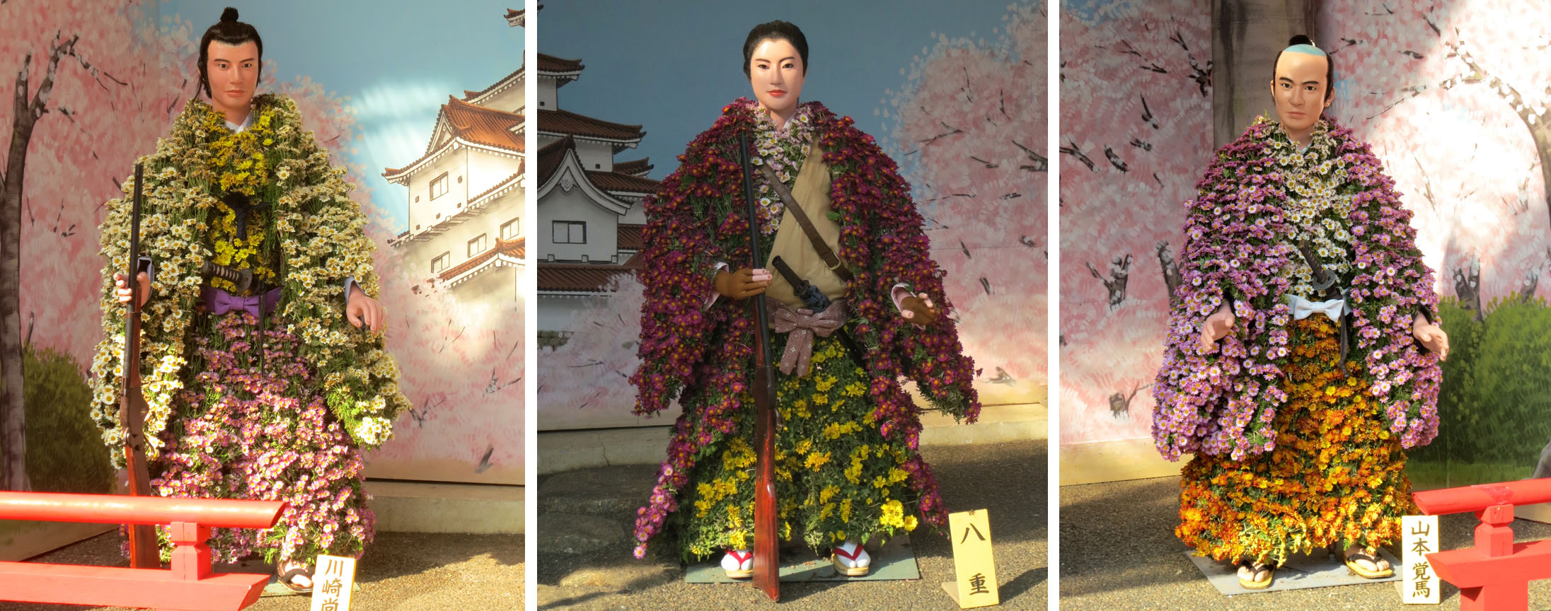 ChrysanthemumWarriors