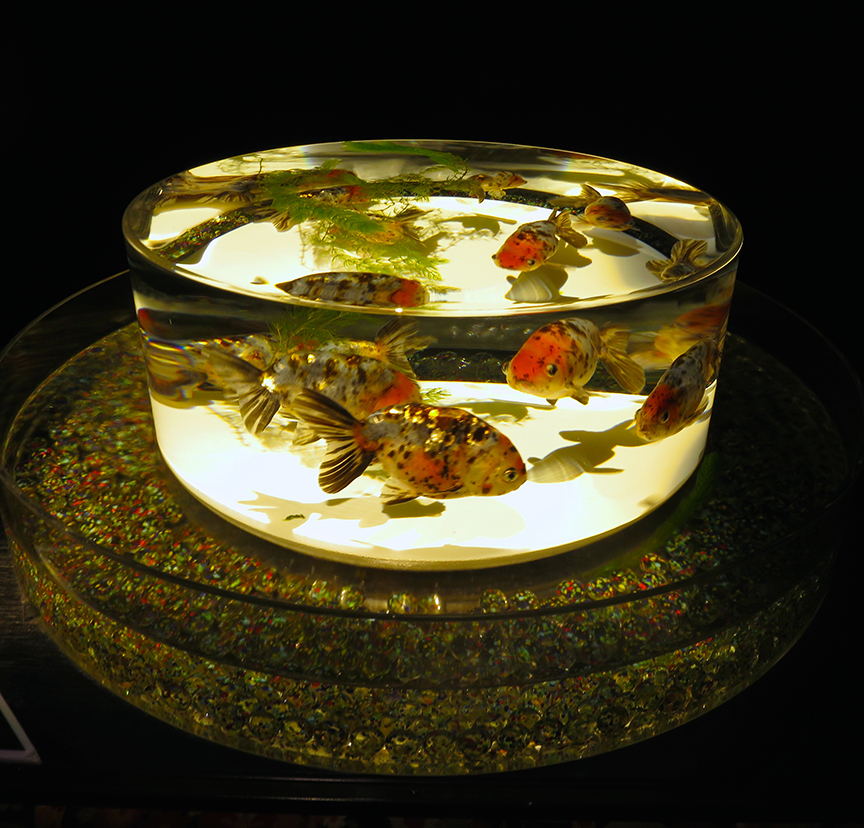 ArtAquarium9