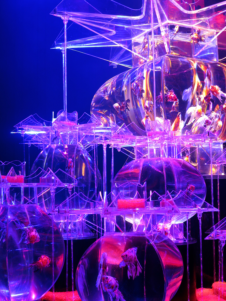ArtAquarium9b