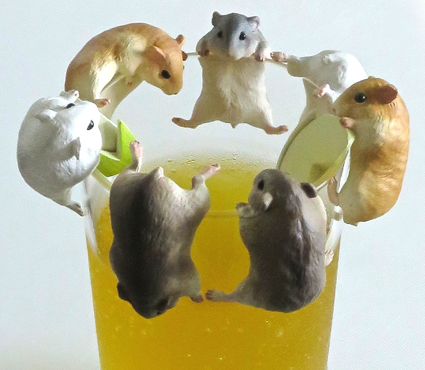 Hamsters1