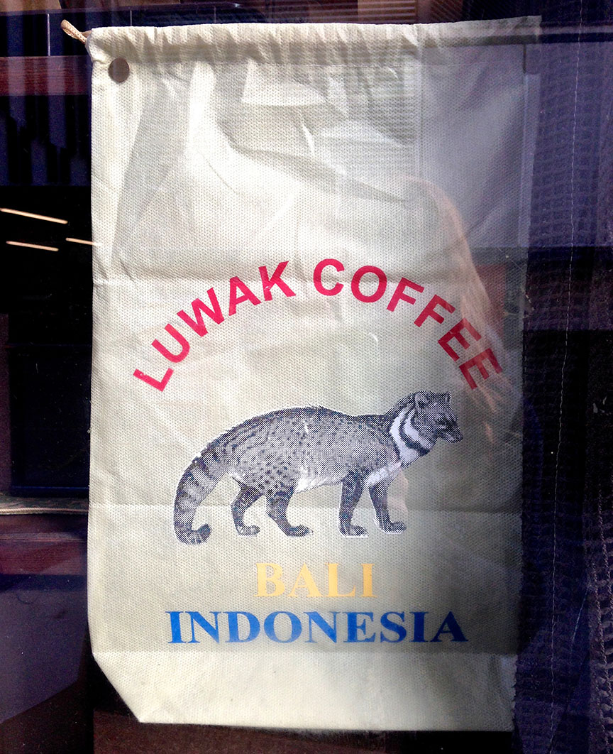 This is a civet, a sort of a visual relative of the cat-snake.It poops coffee.