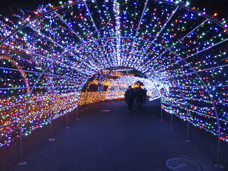 ...and rainbow mixes.