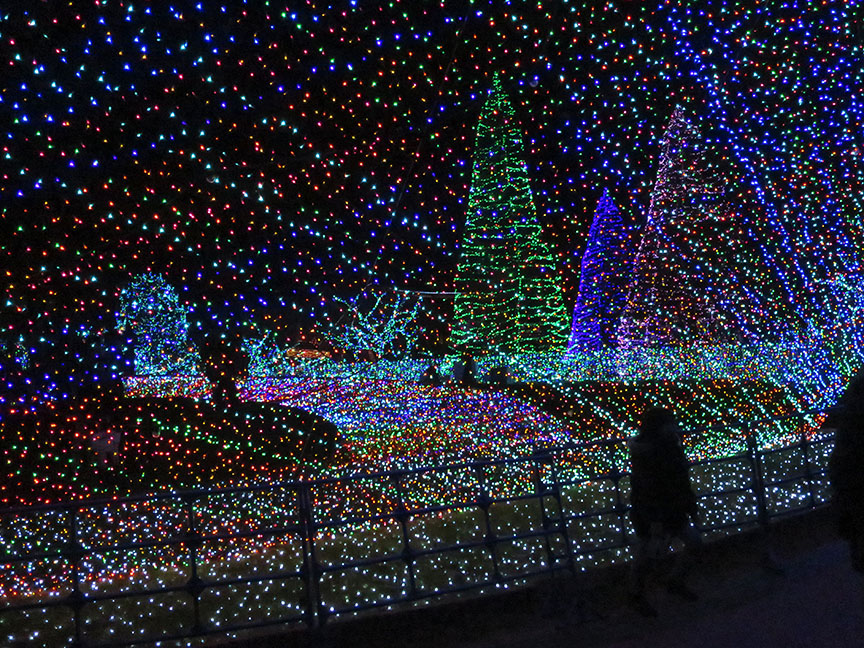 The view from behind the veil!