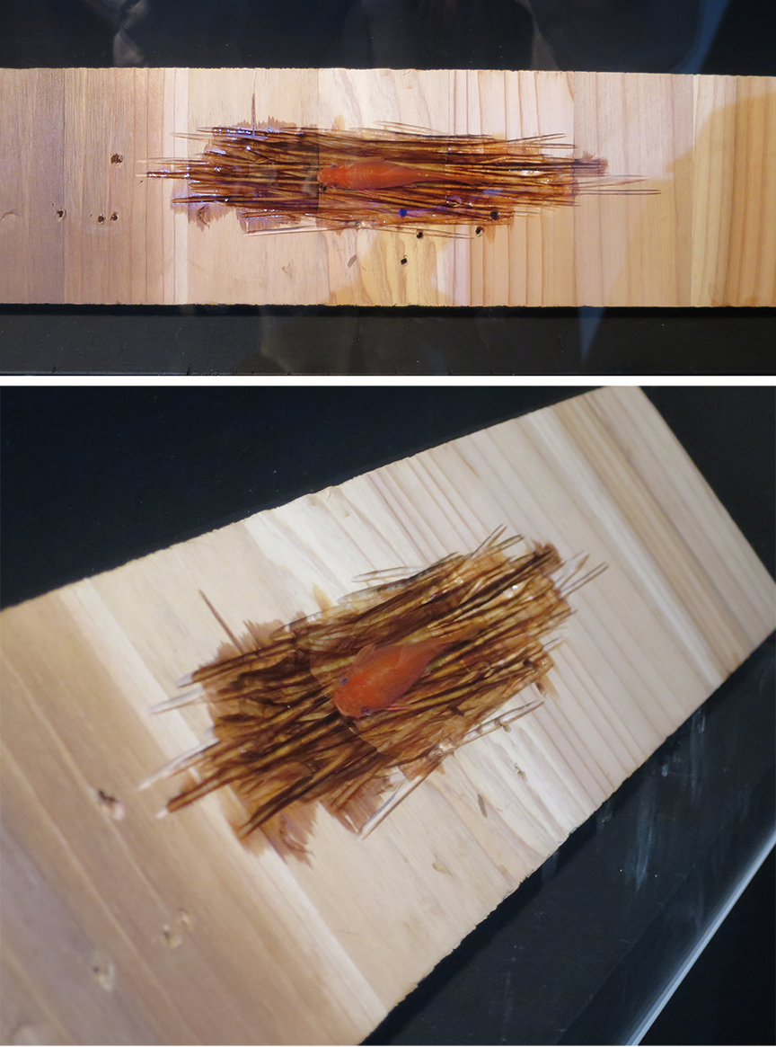 There was also this piece – a goldfish lurking in an artfully gouged-out plank