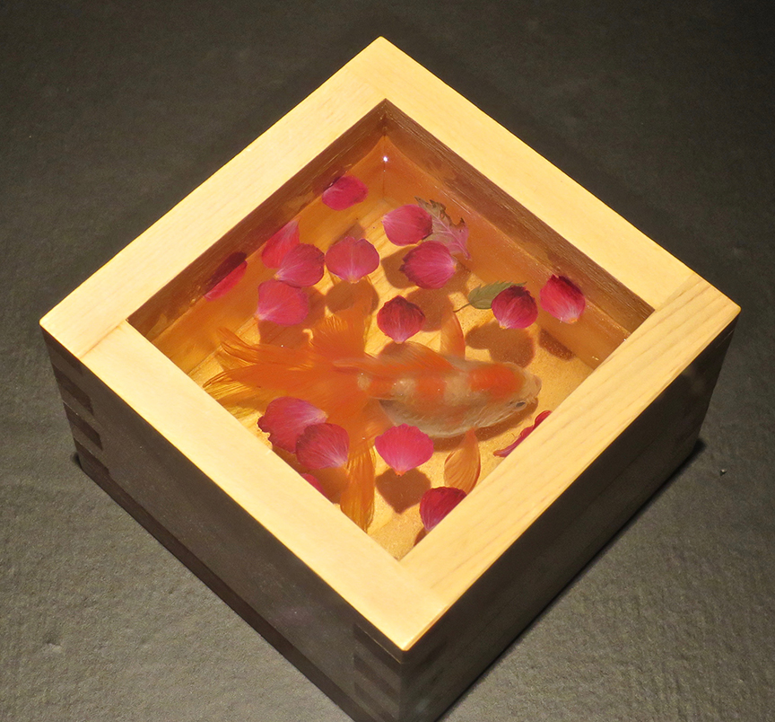 ...and fallen flower petals