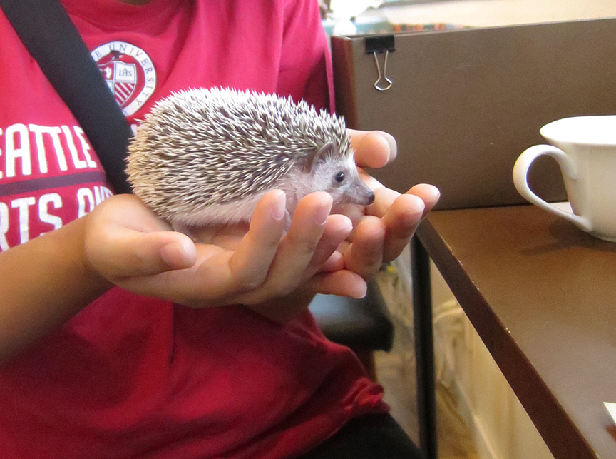 But that does not keep them from being cuteness squared