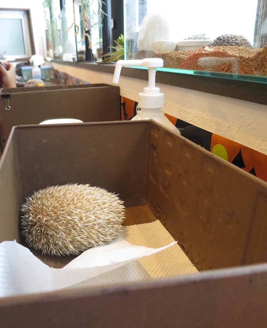 The loaf is strong with this one