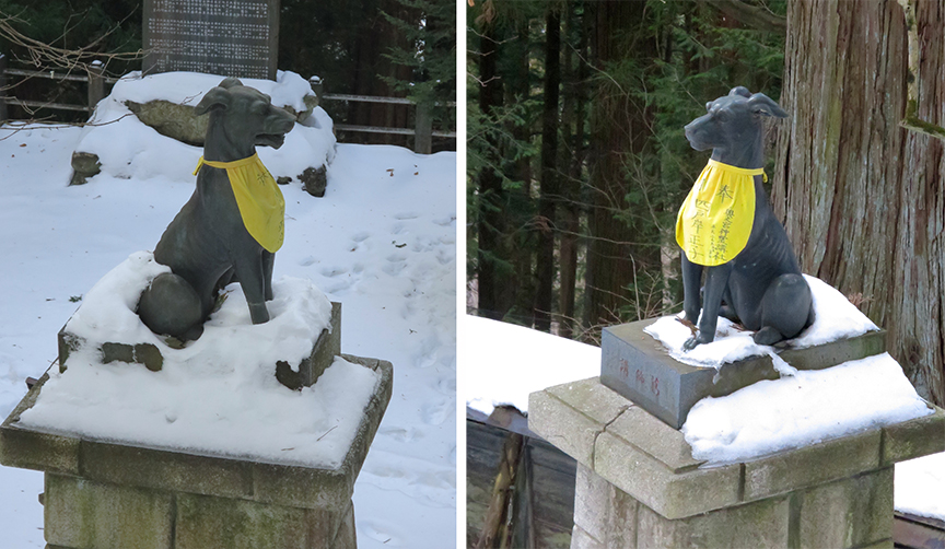 All over this shrine are dog guardians, everywhere you'd expect to see foxes