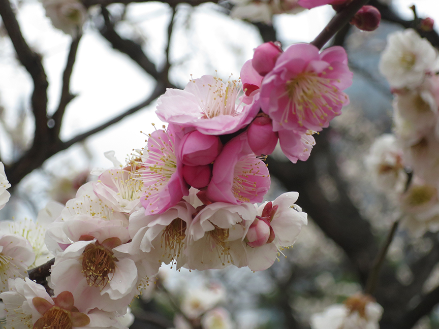 Photo taken on Feb 20