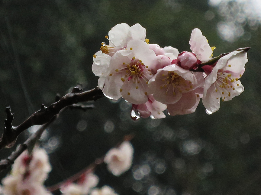 Photo taken on Mar 5