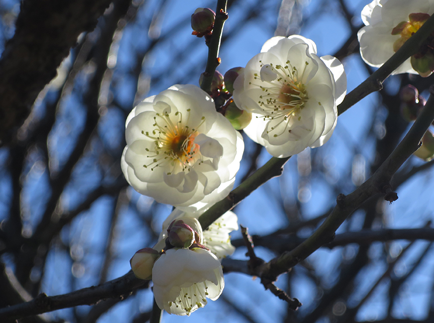 Photo taken on Jan 22