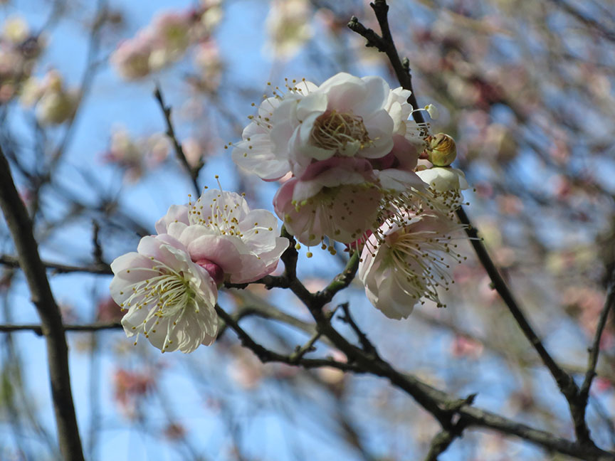 Photo taken on Jan 23