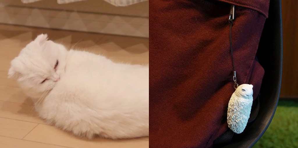 @Meetissai sculpture of sleeping cat with no legs