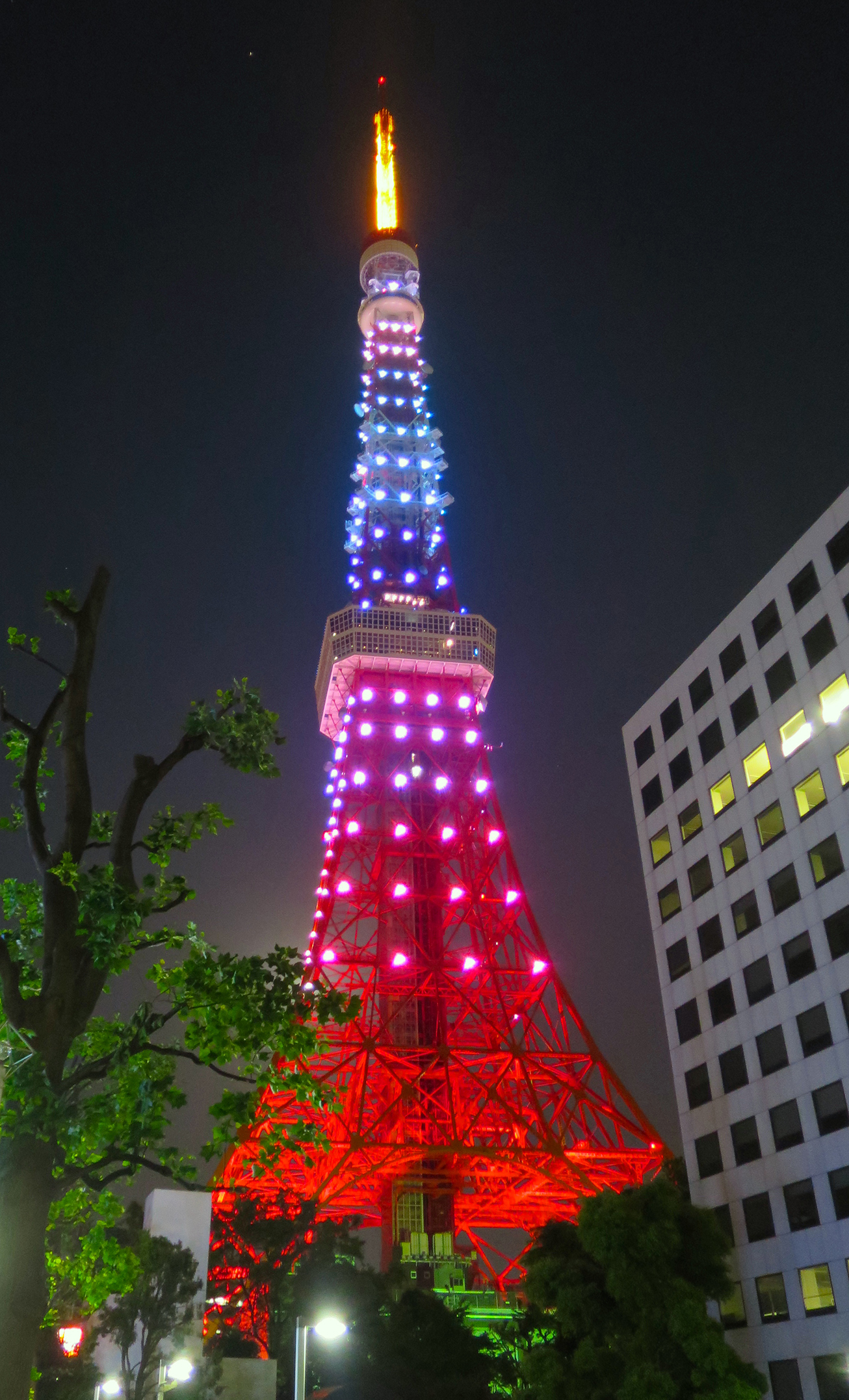 Tokyo Tower lit up in pink and blue at night