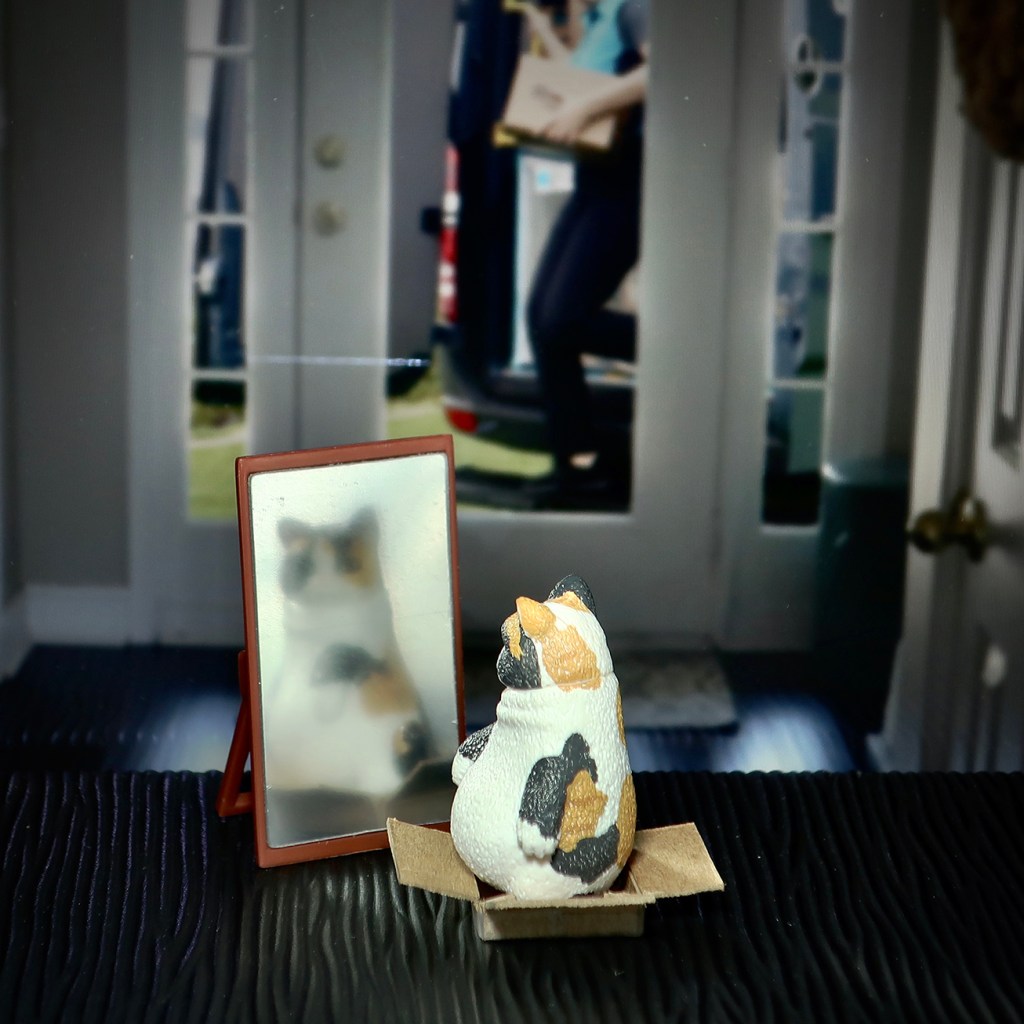 Fat gachapon toy cat with mirror