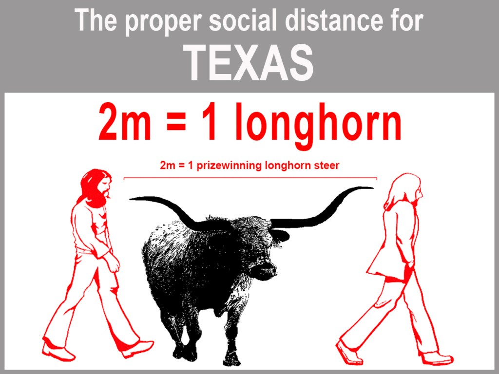 Graphic demonstrating how far away to stand from others during pandemic, using longhorn steer as measurement
