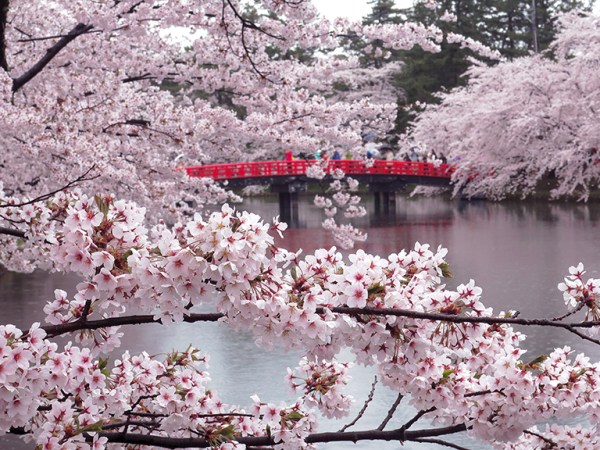 Places to go before everyone else discovers&nbsp;them