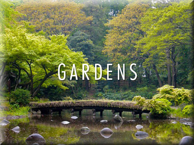 Button for link to Jonelle Patrick's favorite gardens in Tokyo