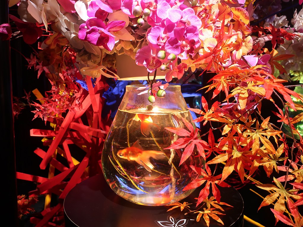 Goldfish and ikebana flower arrangement at the Art Aqauarium Museum in Ginza, Tokyo