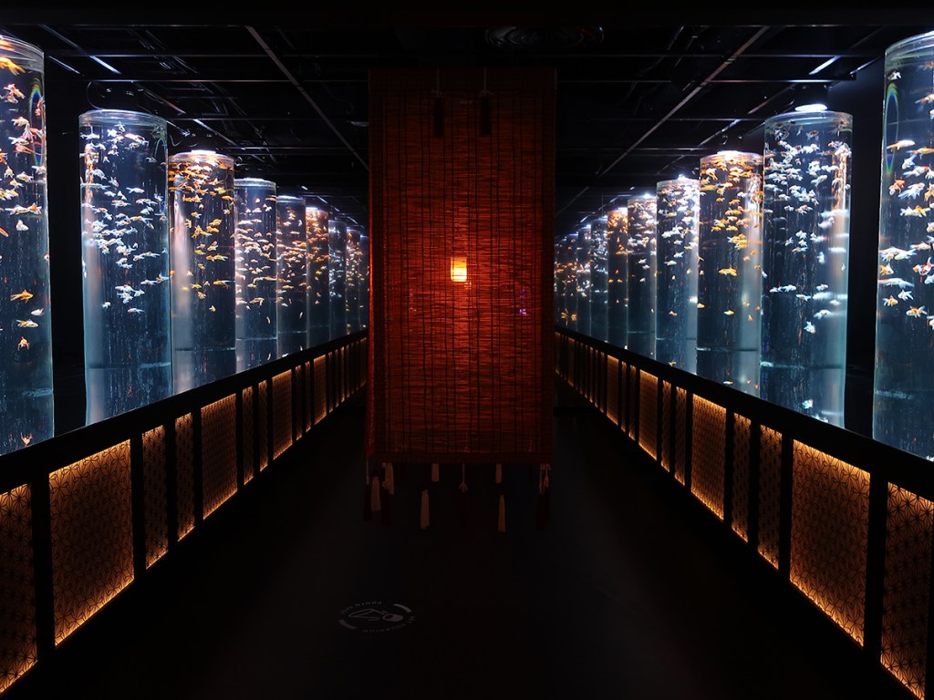 Goldfish at the Art Aqauarium Museum in Ginza, Tokyo