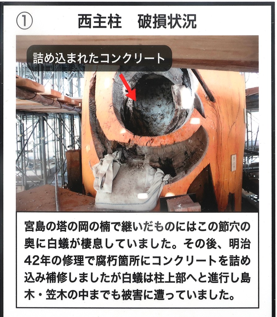 Photo of termite damage at the Itsukushima Shrine on Miyajima island, Japan