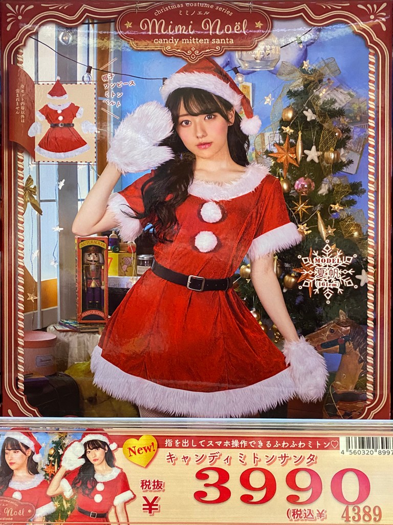 Japanese Sexy Santa costume