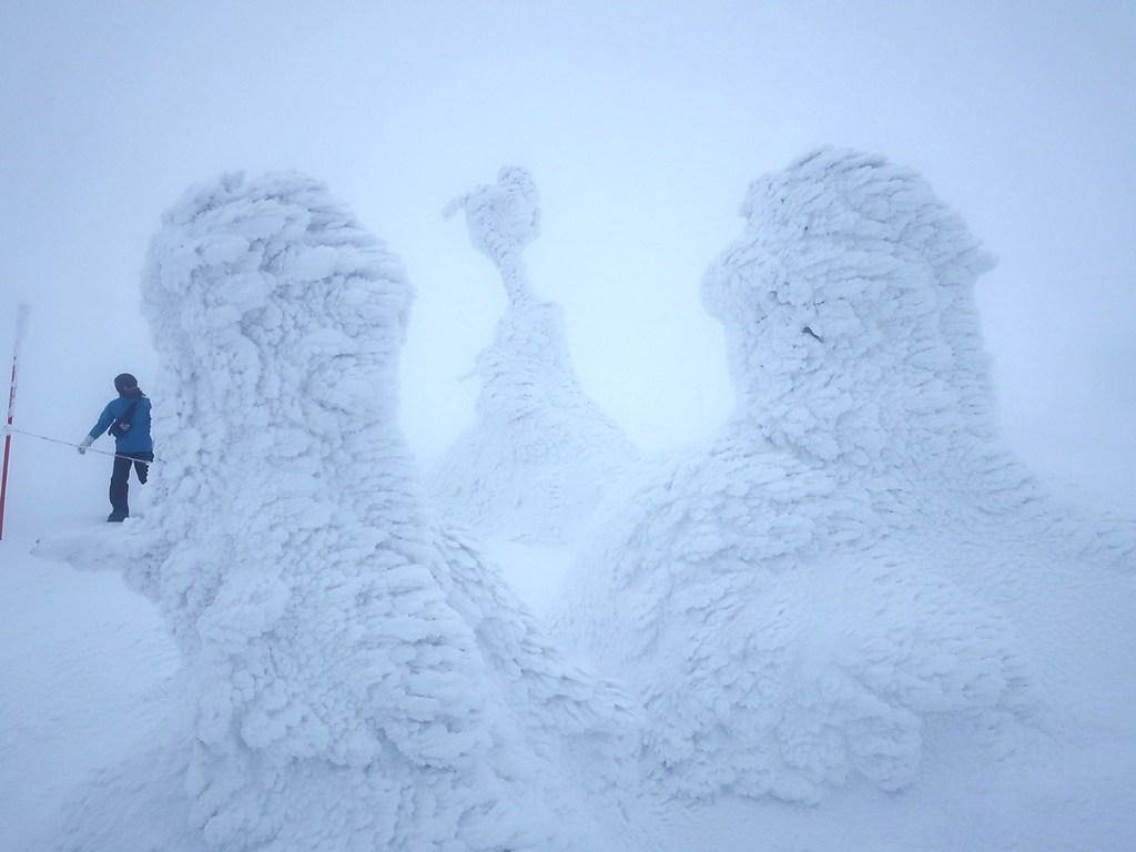 Snow monster trees at Mt. Zao in Japan