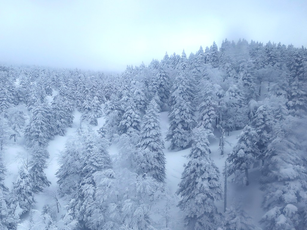 Snow monster trees in the making at Mt. Zao in Japan