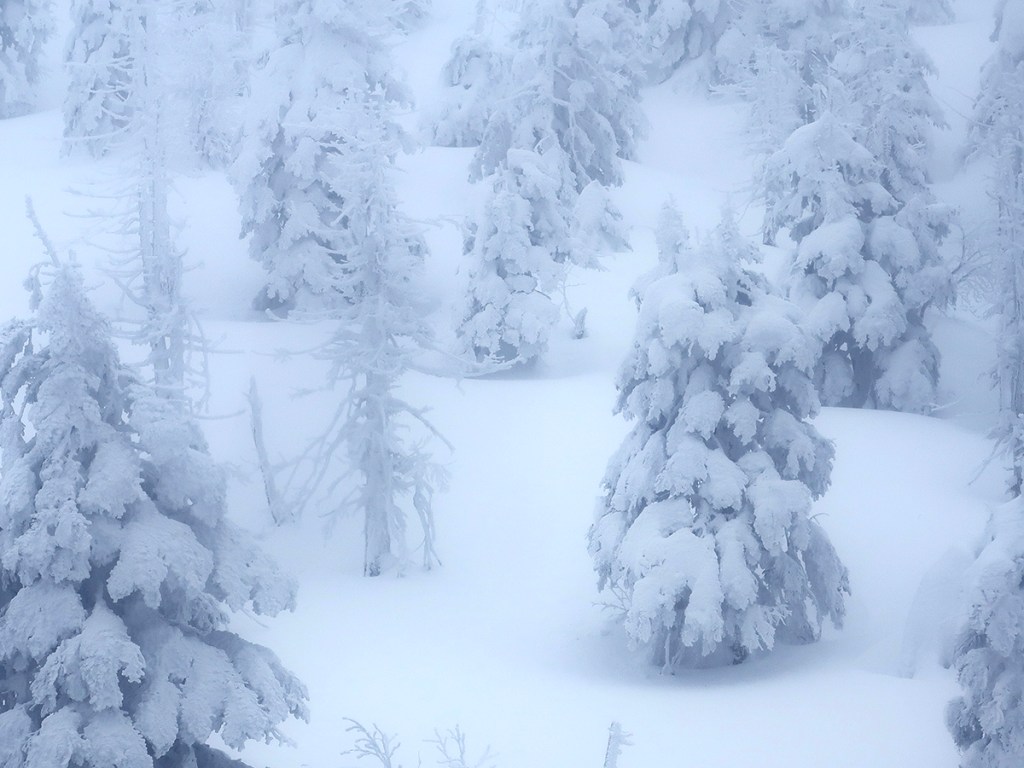 Snow monster trees in the making at Mt. Zao in Japan