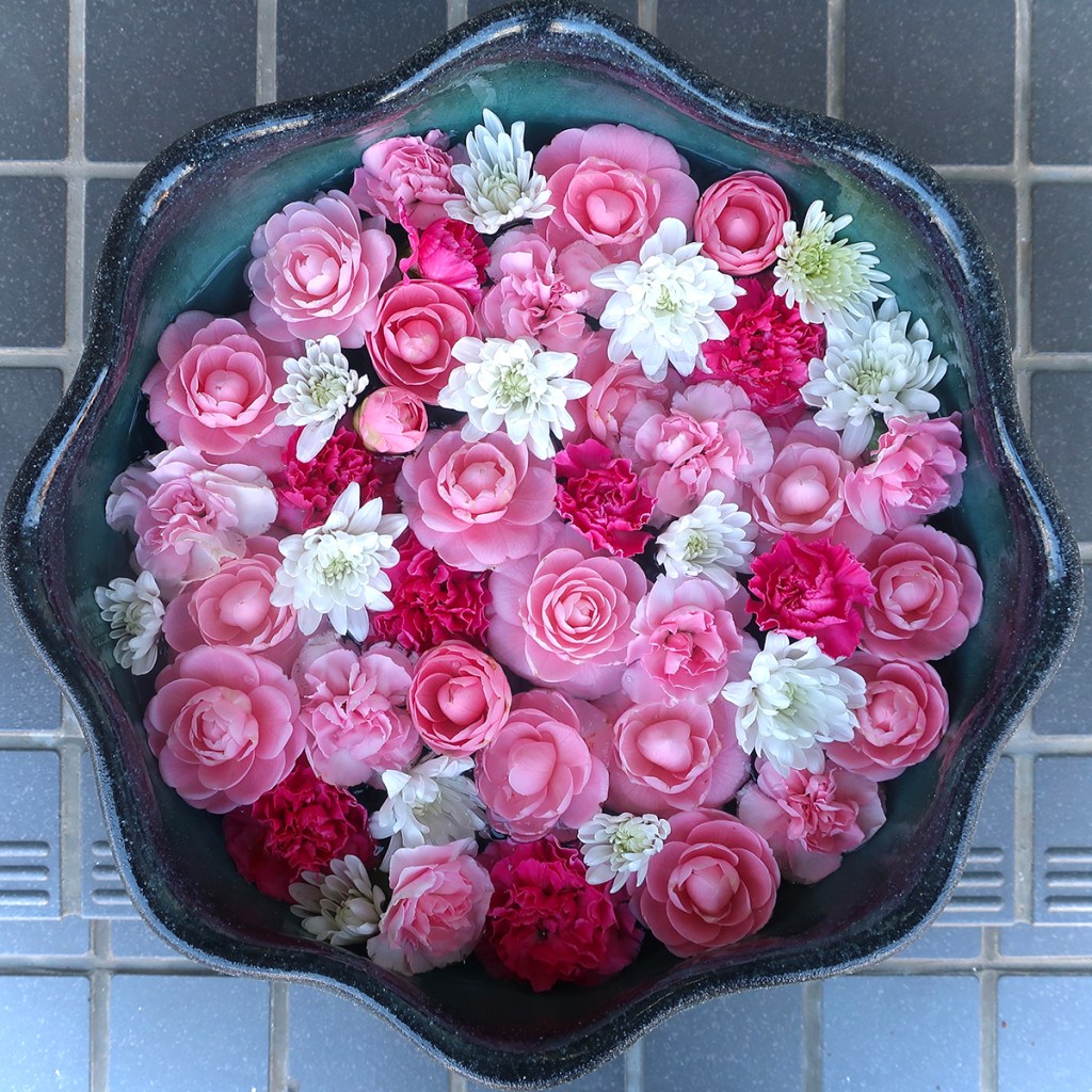 Hanachōzu outside an electronics shop in Gyōda