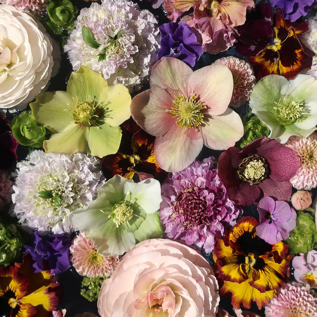 Hanachōzu outside a bar in Gyōda