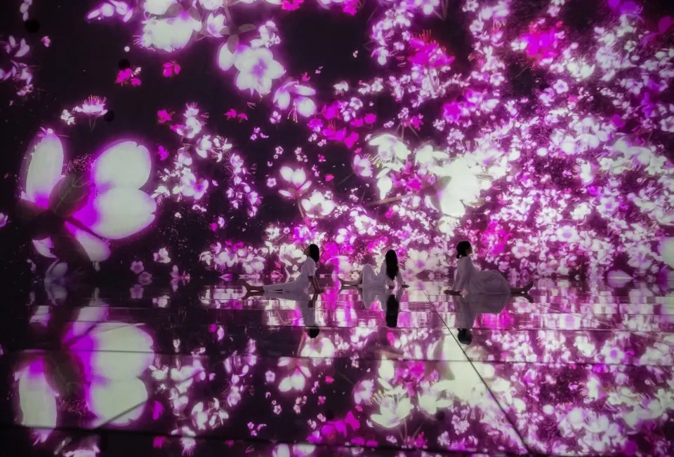 TeamLab Planets universe of falling flowers with cherry blossoms