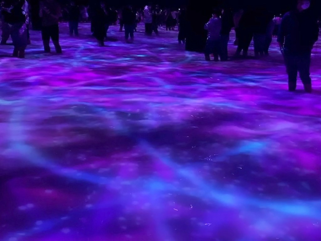 TeamLab Planets fish and flowers wading pond with cherry blossoms