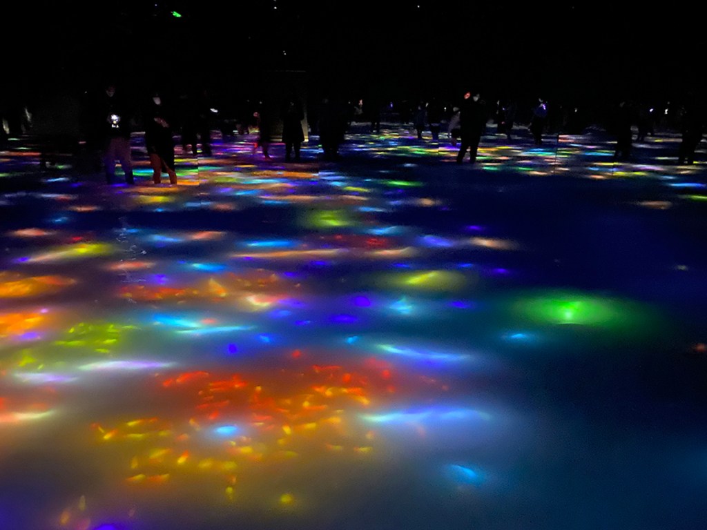 TeamLab Planets fish and flowers wading pond
