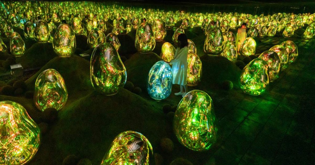 TeamLab Planets mirrored schmoos at night