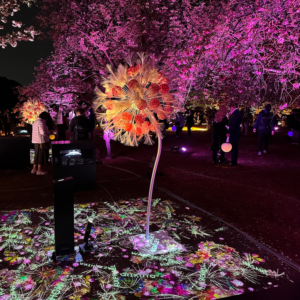 Cherry trees lit up in bright colors at night at Sakura Night Garden by Naked, in Shinjuku Gyouen