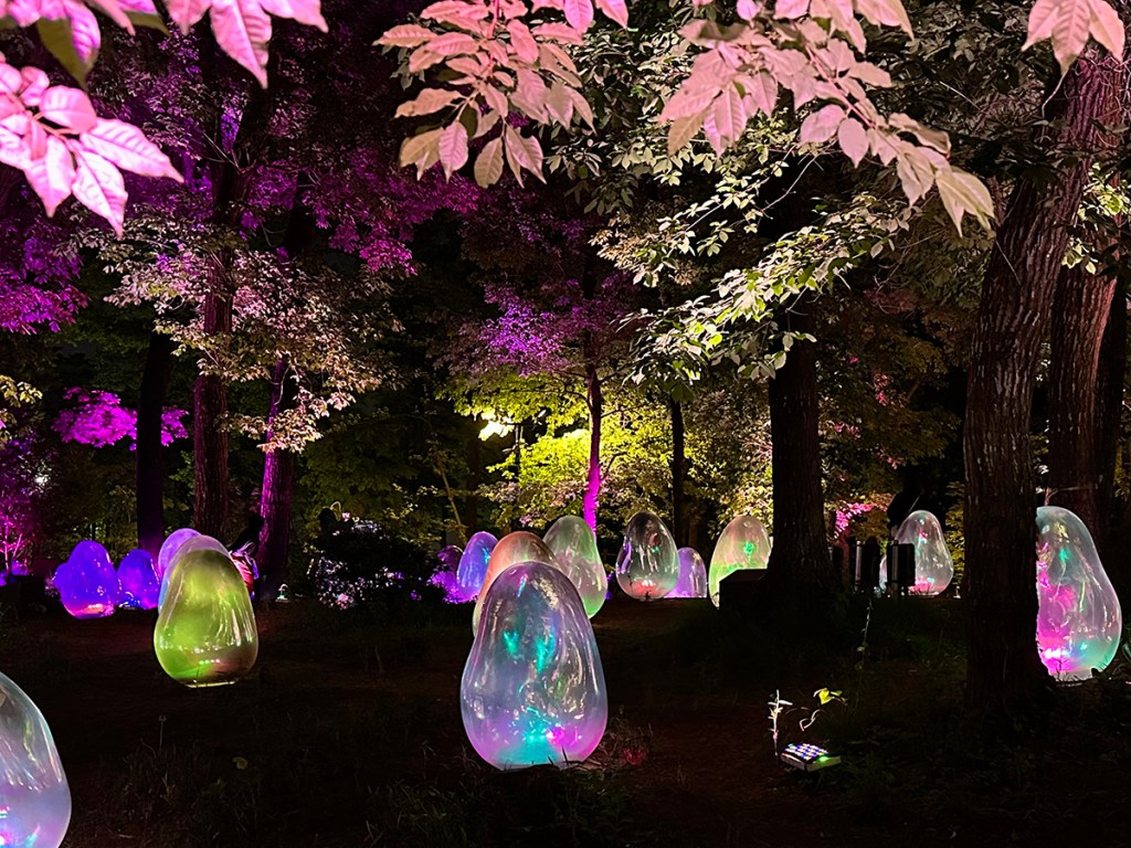 TeamLab's Resonating Life in the Acorn Forest art installation lit up at night