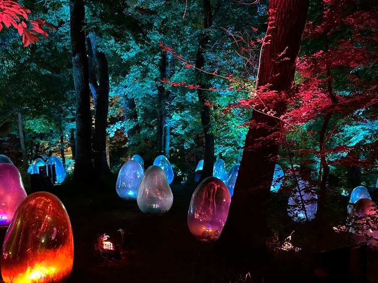 TeamLab's Resonating Life in the Acorn Forest art installation lit up at night