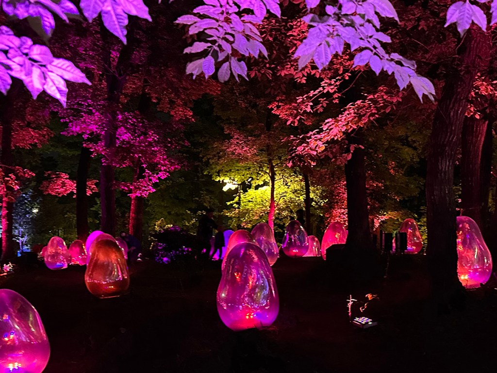 TeamLab's Resonating Life in the Acorn Forest art installation lit up at night