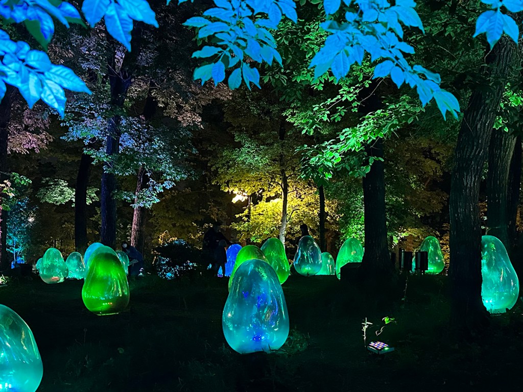 TeamLab's Resonating Life in the Acorn Forest art installation lit up at night