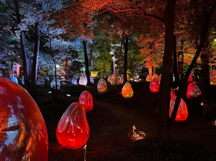 TeamLab's Resonating Life in the Acorn Forest art installation lit up at night
