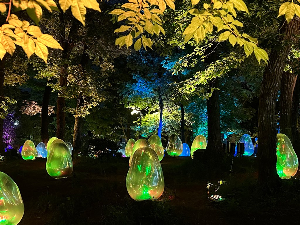TeamLab's Resonating Life in the Acorn Forest art installation lit up at night