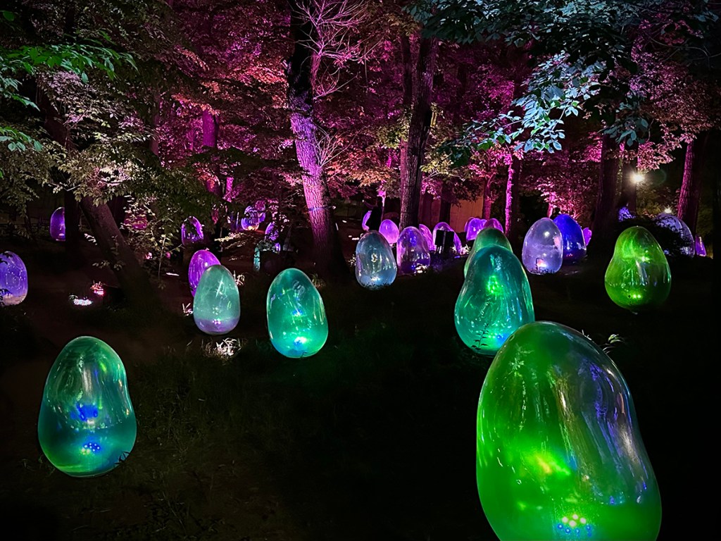 TeamLab's Resonating Life in the Acorn Forest art installation lit up at night