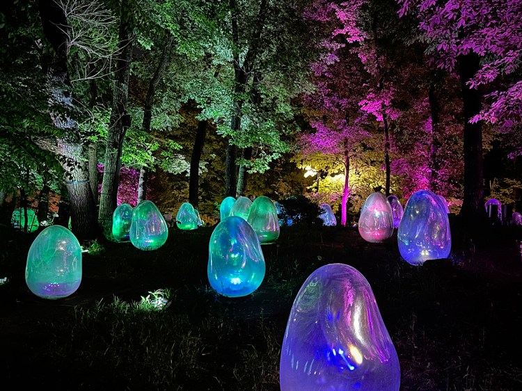 TeamLab's Resonating Life in the Acorn Forest art installation lit up at night