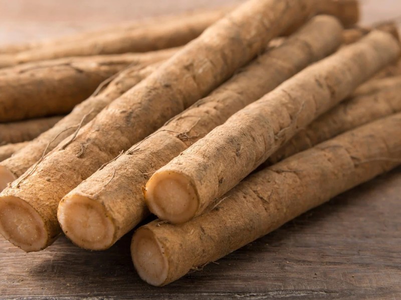 When your job is to sell the Gobo&nbsp;Burger