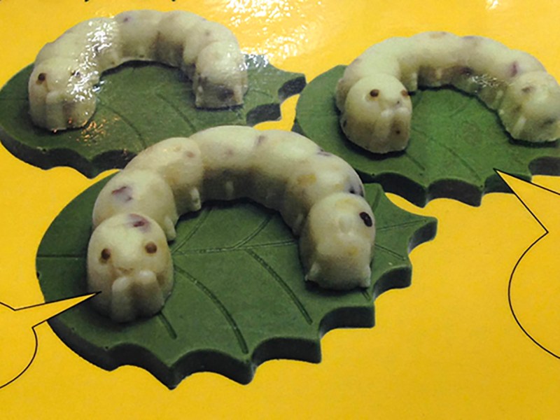 Worst souvenir idea&nbsp;ever