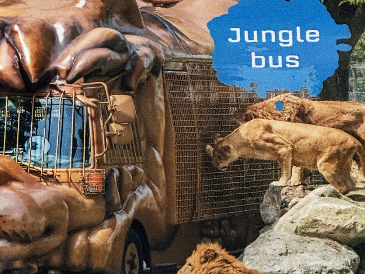 When is an African safari not an African&nbsp;safari?