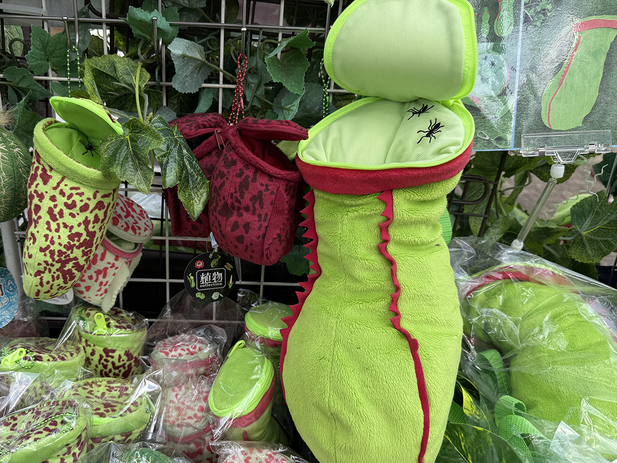 Carnivorous Stuffies